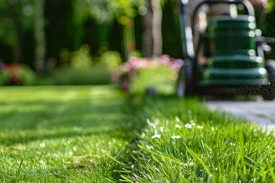 affordable lawn mowers